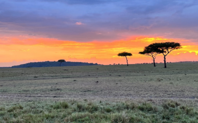 Homesick for…