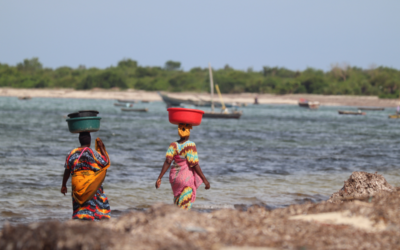 Tanzania & Tolkien: Missions to the Unreached