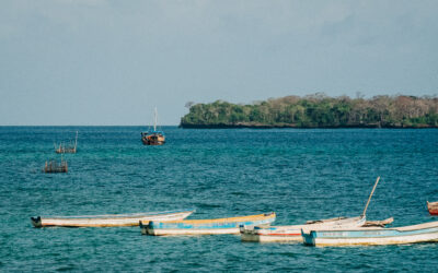 Hold My Hand—And Jump!
